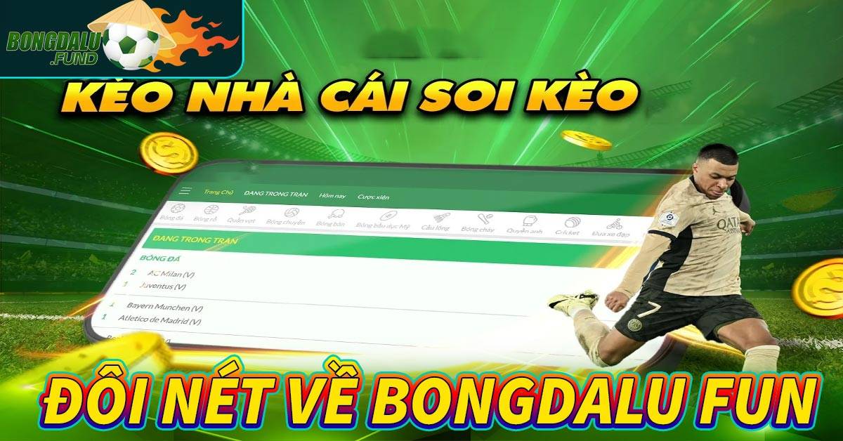Giới thiệu đôi nét về trang web Bongdalu fun