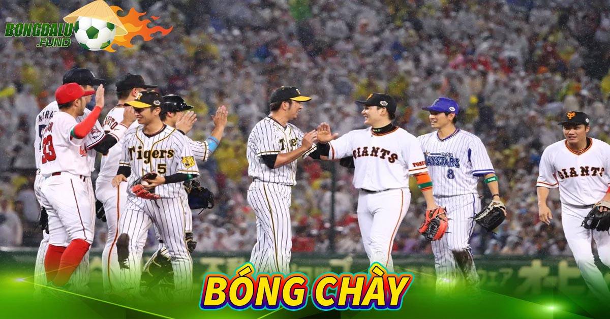 Bóng chày
